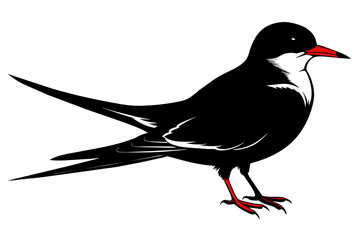 Tern silhouette on white background, Vector illustration, icon, svg, characters, Holiday t shirt, Hand drawn trendy Vector illustration, illustration of a seagu