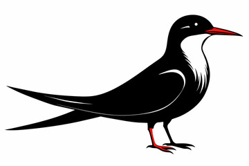 Fototapeta premium Tern silhouette on white background, Vector illustration, icon, svg, characters, Holiday t shirt, Hand drawn trendy Vector illustration, illustration of a seagu