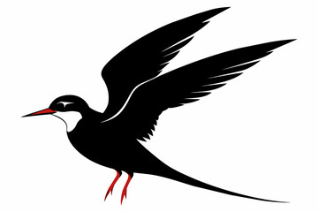 Tern silhouette on white background, Vector illustration, icon, svg, characters, Holiday t shirt, Hand drawn trendy Vector illustration, illustration of a seagu