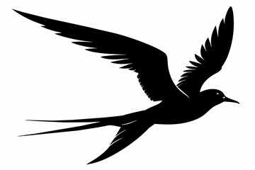 Tern silhouette on white background, Vector illustration, icon, svg, characters, Holiday t shirt, Hand drawn trendy Vector illustration, illustration of a seagu