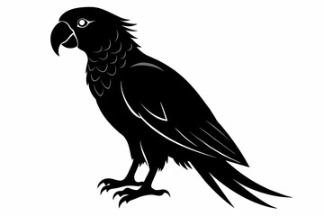 Parrot silhouette on white background, Vector illustration, bird, icon, svg, characters, Holiday t shirt, Hand drawn trendy Vector illustration, illustration of a seagull
