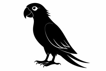 Parrot silhouette on white background, Vector illustration, bird, icon, svg, characters, Holiday t shirt, Hand drawn trendy Vector illustration, illustration of a seagull
