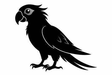Parrot silhouette on white background, Vector illustration, bird, icon, svg, characters, Holiday t shirt, Hand drawn trendy Vector illustration, illustration of a seagull
