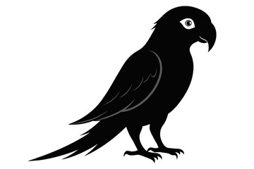 Parrot silhouette on white background, Vector illustration, bird, icon, svg, characters, Holiday t shirt, Hand drawn trendy Vector illustration, illustration of a seagull
