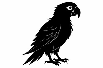Parrot silhouette on white background, Vector illustration, bird, icon, svg, characters, Holiday t shirt, Hand drawn trendy Vector illustration, illustration of a seagull
