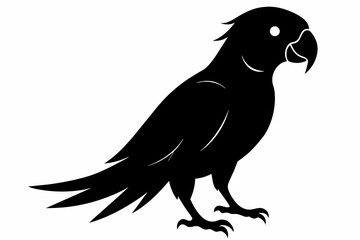 Parrot silhouette on white background, Vector illustration, bird, icon, svg, characters, Holiday t shirt, Hand drawn trendy Vector illustration, illustration of a seagull

