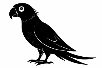 Parrot silhouette on white background, Vector illustration, bird, icon, svg, characters, Holiday t shirt, Hand drawn trendy Vector illustration, illustration of a seagull
