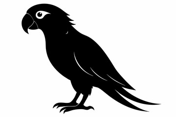 Parrot silhouette on white background, Vector illustration, bird, icon, svg, characters, Holiday t shirt, Hand drawn trendy Vector illustration, illustration of a seagull
