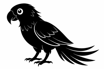 Fototapeta premium Parrot silhouette on white background, Vector illustration, bird, icon, svg, characters, Holiday t shirt, Hand drawn trendy Vector illustration, illustration of a seagull 