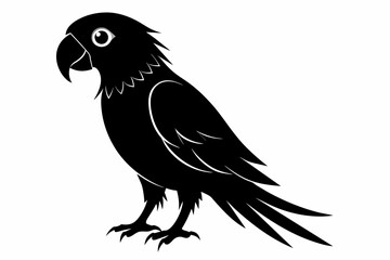Parrot silhouette on white background, Vector illustration, bird, icon, svg, characters, Holiday t shirt, Hand drawn trendy Vector illustration, illustration of a seagull

