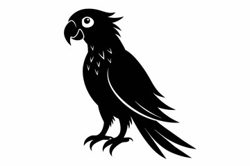 Parrot silhouette on white background, Vector illustration, bird, icon, svg, characters, Holiday t shirt, Hand drawn trendy Vector illustration, illustration of a seagull
