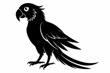 Parrot silhouette on white background, Vector illustration, bird, icon, svg, characters, Holiday t shirt, Hand drawn trendy Vector illustration, illustration of a seagull
