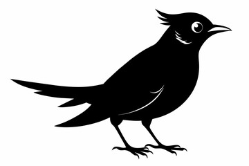 Lark silhouette on white background, Vector illustration, bird, icon, svg, characters, Holiday t shirt, Hand drawn trendy Vector illustration, crow on a white