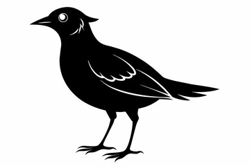 Lark silhouette on white background, Vector illustration, bird, icon, svg, characters, Holiday t shirt, Hand drawn trendy Vector illustration, crow on a white
