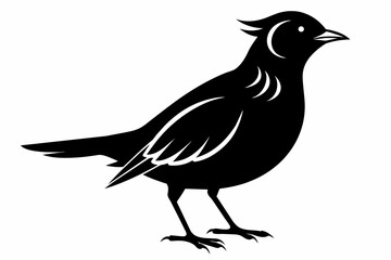 Lark silhouette on white background, Vector illustration, bird, icon, svg, characters, Holiday t shirt, Hand drawn trendy Vector illustration, crow on a white