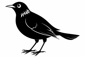 Lark silhouette on white background, Vector illustration, bird, icon, svg, characters, Holiday t shirt, Hand drawn trendy Vector illustration, crow on a white