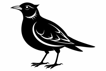 Lark silhouette on white background, Vector illustration, bird, icon, svg, characters, Holiday t shirt, Hand drawn trendy Vector illustration, crow on a white