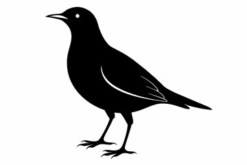 Fototapeta premium Lark silhouette on white background, Vector illustration, bird, icon, svg, characters, Holiday t shirt, Hand drawn trendy Vector illustration, crow on a white