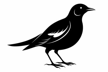 Lark silhouette on white background, Vector illustration, bird, icon, svg, characters, Holiday t shirt, Hand drawn trendy Vector illustration, crow on a white