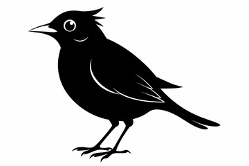 Lark silhouette on white background, Vector illustration, bird, icon, svg, characters, Holiday t shirt, Hand drawn trendy Vector illustration, crow on a white