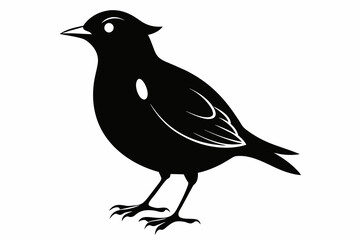 Lark silhouette on white background, Vector illustration, bird, icon, svg, characters, Holiday t shirt, Hand drawn trendy Vector illustration, crow on a white