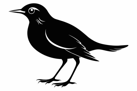 recommend clip art: Lark silhouette on white background, Vector illustration, bird, icon, svg, characters, Holiday t shirt, Hand drawn trendy Vector illustration, crow on a white