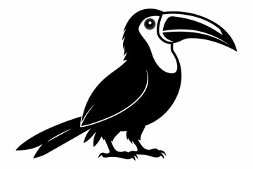 Toucan silhouette on white background, Vector illustration, bird, icon, svg, characters, Holiday t shirt, Hand drawn trendy Vector illustration, raven on a branch