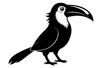 Toucan silhouette on white background, Vector illustration, bird, icon, svg, characters, Holiday t shirt, Hand drawn trendy Vector illustration, raven on a branch