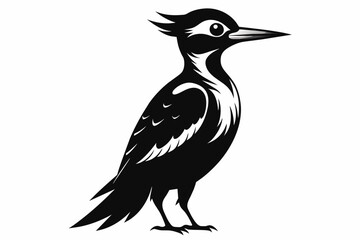 Fototapeta premium Woodpecker silhouette on white background, Vector illustration, bird, icon, svg, characters, Holiday t shirt, Hand drawn trendy Vector illustration, raven on a branch