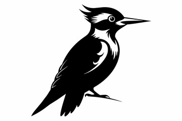 Woodpecker silhouette on white background, Vector illustration, bird, icon, svg, characters, Holiday t shirt, Hand drawn trendy Vector illustration, raven on a branch