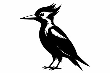 Woodpecker silhouette on white background, Vector illustration, bird, icon, svg, characters, Holiday t shirt, Hand drawn trendy Vector illustration, raven on a branch