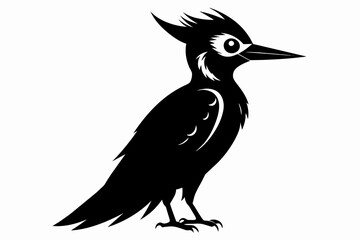 Woodpecker silhouette on white background, Vector illustration, bird, icon, svg, characters, Holiday t shirt, Hand drawn trendy Vector illustration, raven on a branch