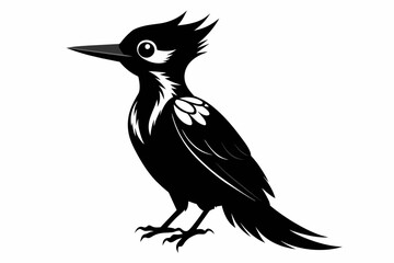 Woodpecker silhouette on white background, Vector illustration, bird, icon, svg, characters, Holiday t shirt, Hand drawn trendy Vector illustration, raven on a branch