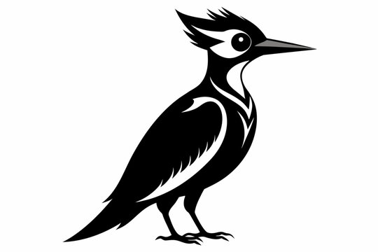 recommend clip art: Woodpecker silhouette on white background, Vector illustration, bird, icon, svg, characters, Holiday t shirt, Hand drawn trendy Vector illustration, raven on a branch