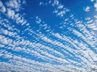 Obraz premium background