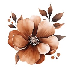 A flower with brown petals, watercolor illustration boho style