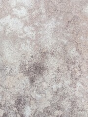 stone wall texture raster cement for graphic resourses