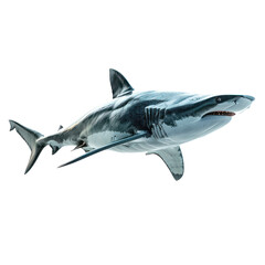 Shark isolated on a transparent background