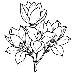Fototapeta premium Magnolia Flower outline illustration coloring book page design, Magnolia Flower black and white line art drawing coloring book pages for children and adults 