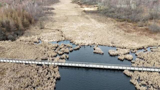 Famous Park near Ottawa called Mer Bleue Bog with swamps and muddy areas beautiful nature of Canada - travel photography by drone