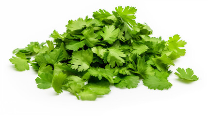 Coriander slices, chopped isolated on white background, photo shot