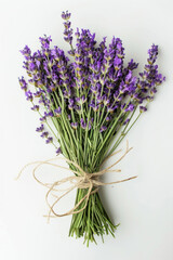 A fresh bunch of lavender with purple flowers and a calming aroma