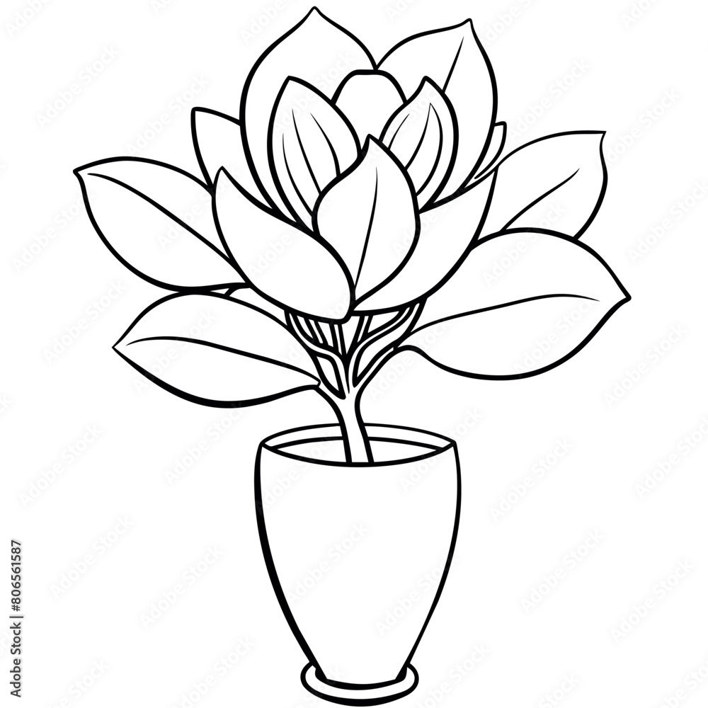 Wall mural magnolia flower outline illustration coloring book page design, magnolia flower black and white line