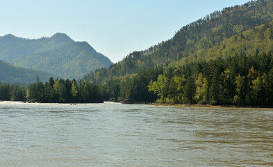 Spring flood in the bed of a wide river surrounded by high mountains overgrown with dense coniferous forest.