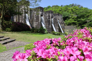 flowers in front of Honen'ike Dam in Kagawa, Japan