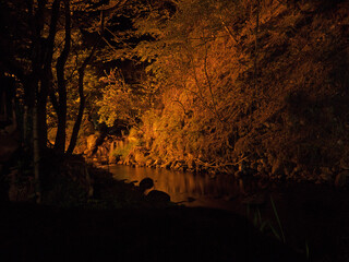 Night scenery with mountain river and illuminated forest on the hill in Kurokawa, Japan