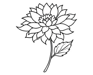 Abstract Hand Drawn Flower Plant Dahlia Botanic Floral