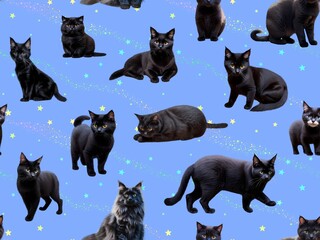 ネコのシームレスパターン④  E