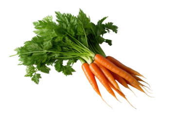Dancing Carrots: A Vibrant Bouquet on a Blank Canvas on White or PNG Transparent Background.