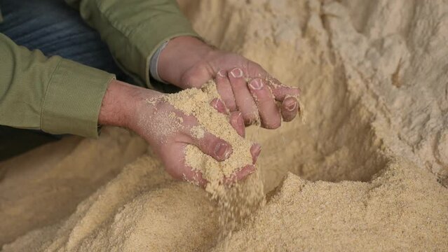 Closeup of handful of maize meal in hands of male farm worker. Concept of energy rich natural animal feed